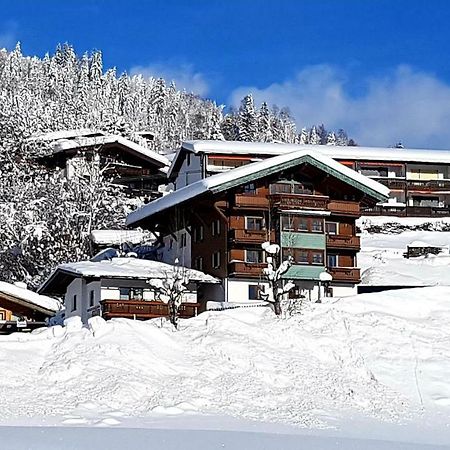 Apartment Weinberg Kirchberg in Tirol Dış mekan fotoğraf