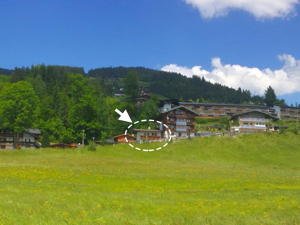 Apartment Weinberg Kirchberg in Tirol Dış mekan fotoğraf