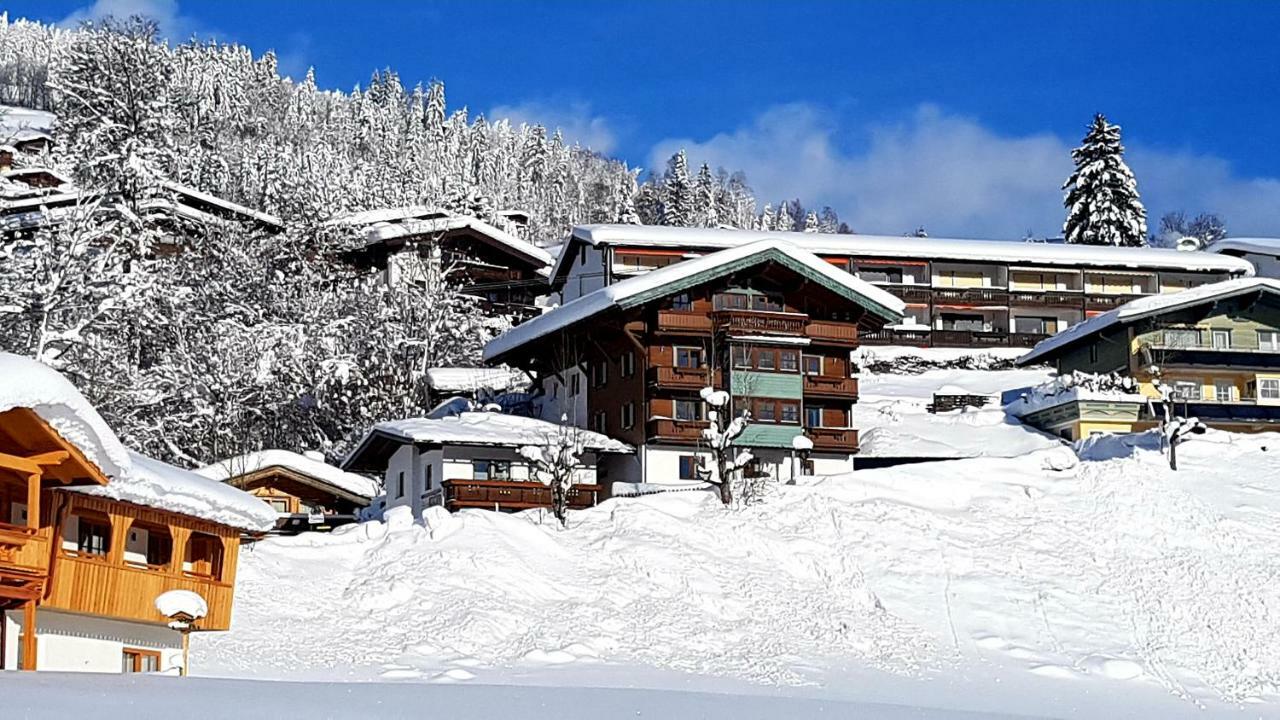 Apartment Weinberg Kirchberg in Tirol Dış mekan fotoğraf